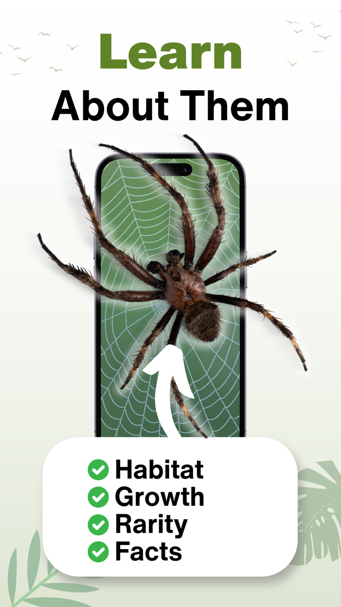 Spider Identifier - AI Scanner
