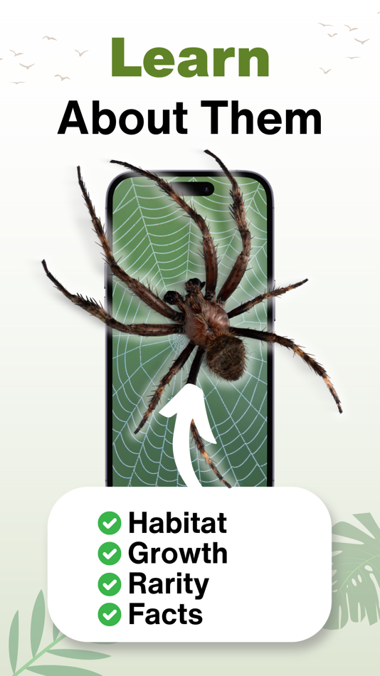 #2. Spider Identifier - AI Scanner (iOS) Ved: Chris Wakefield