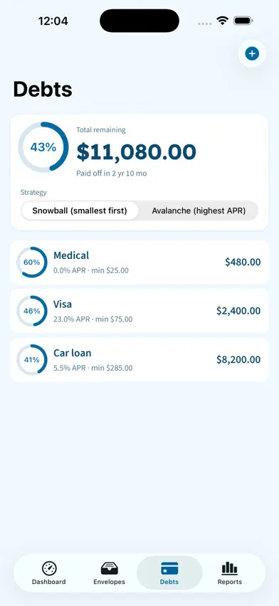 DebtSweep screenshot 2