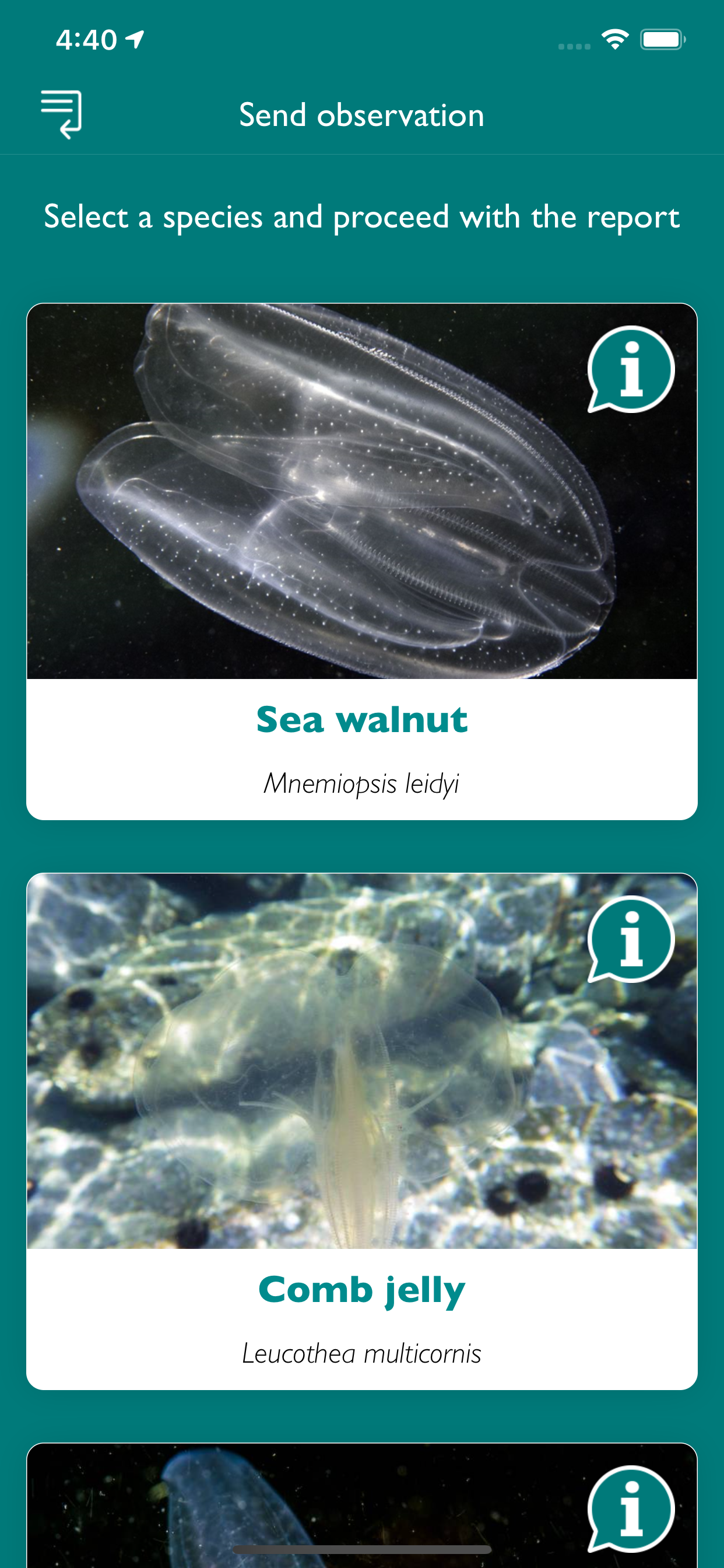 avvistAPP