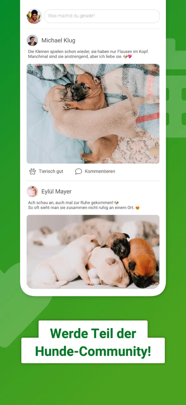 Dogorama – Die Hunde-Community Screenshot 4