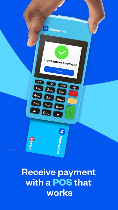 Moniepoint Business Banking Screenshot
