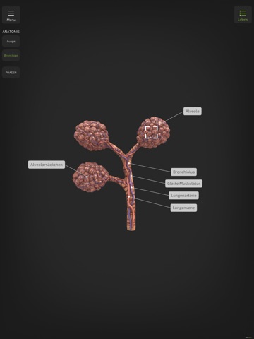 Insight NeoLung iPad screenshot