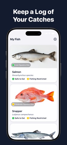 Fish Identifier by FishPic screenshot