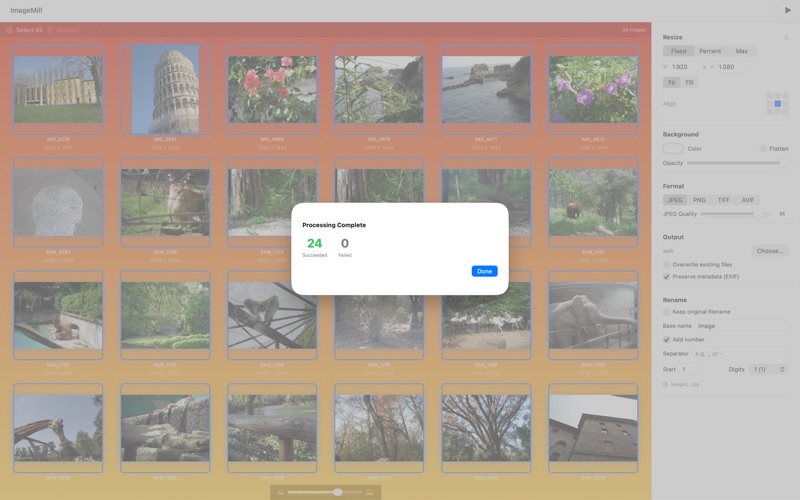 BatchLab screenshot