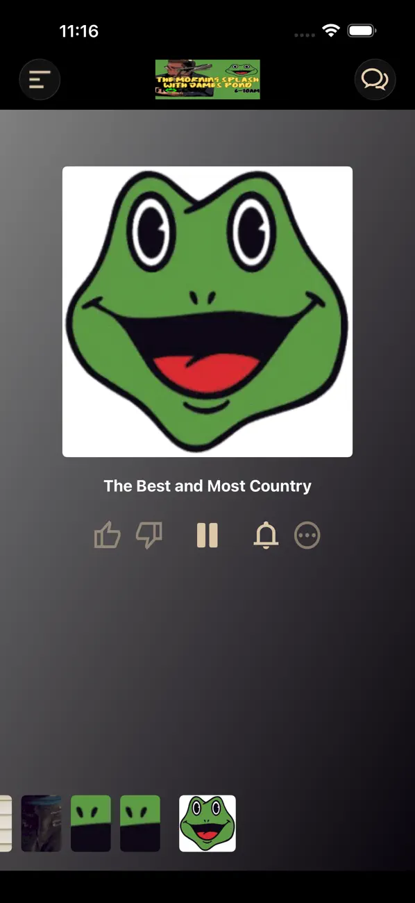 Screenshot #1 pour FROGGY 97FM