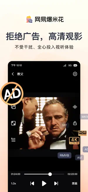 网易爆米花-智能媒体库，全能云盘网盘播放器 iPhone screenshot 2