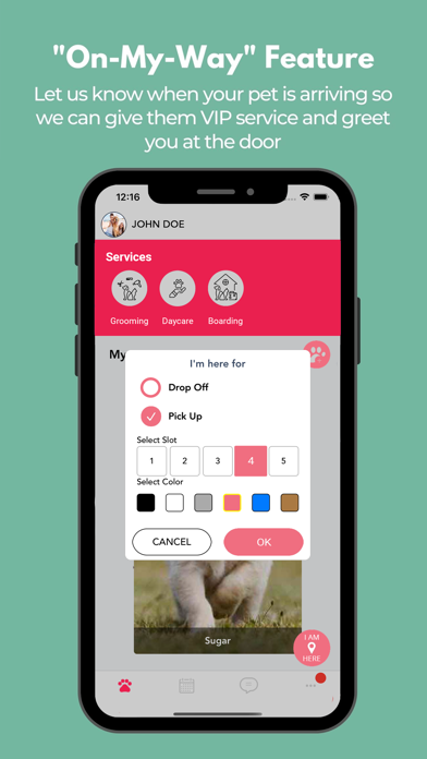 Poodle Doodle iPhone screenshot 1 - Lifestyle app