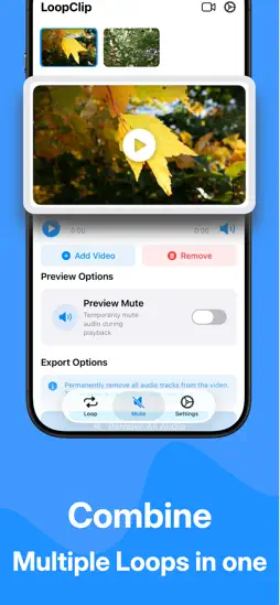 Smooth Loop: Video Flow screenshot 2