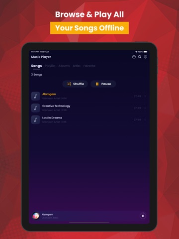 Pi Music Player iPad screenshot