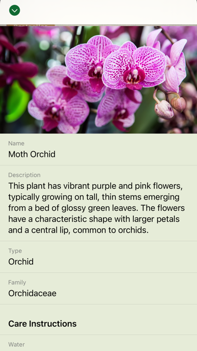 Identify Plant: Disease Care Screenshot