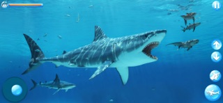 Ocean Shark Simulator Screenshot 2 of 6