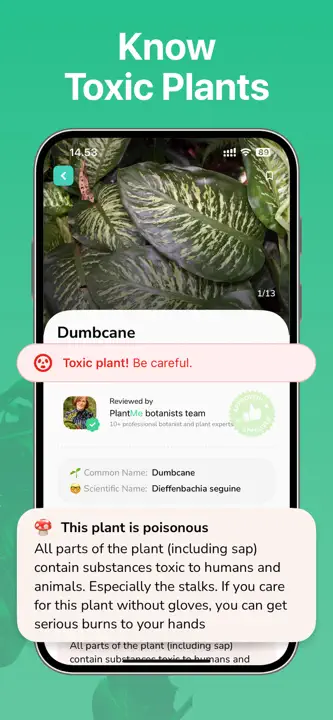 Plant Identifier - PlantMe : capture d’écran 4 sur 6