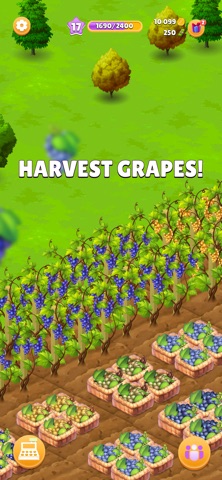 Grape Day Screenshot 3 of 8