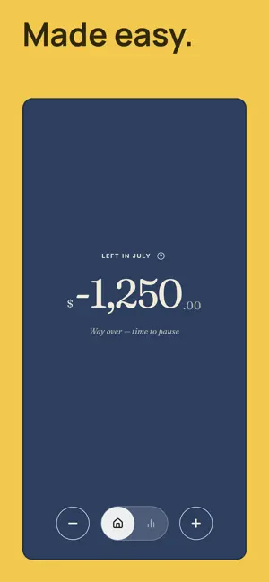 RiceBowl — Budget and Spending screenshot 3