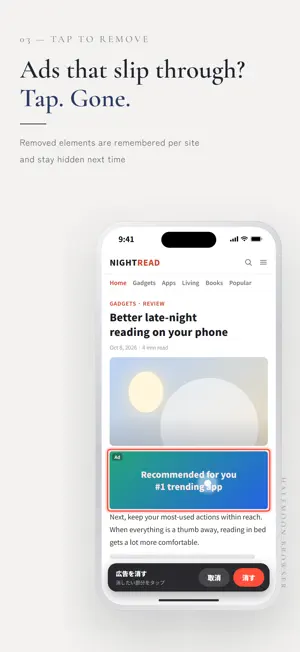 HalfMoon Browser screenshot 3