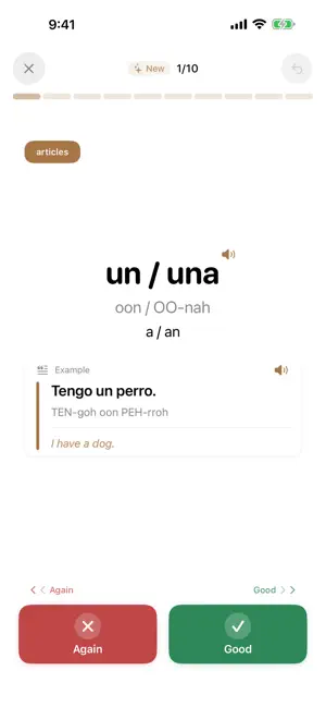 Learn Spanish Vocabulary DELE screenshot 4