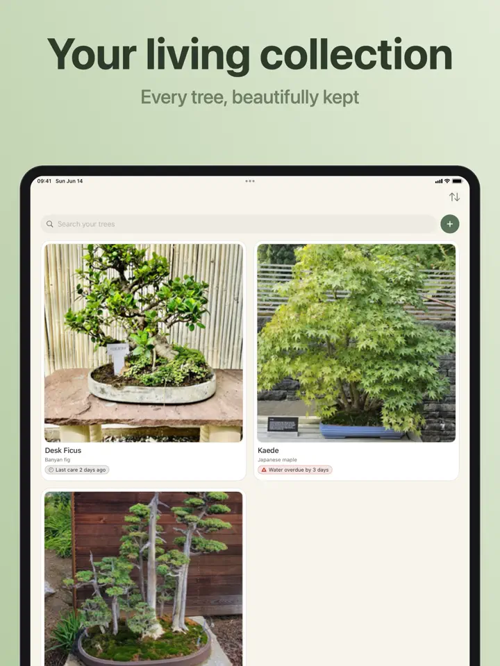 Bonsaiku on iPad: screenshot 2 of 7