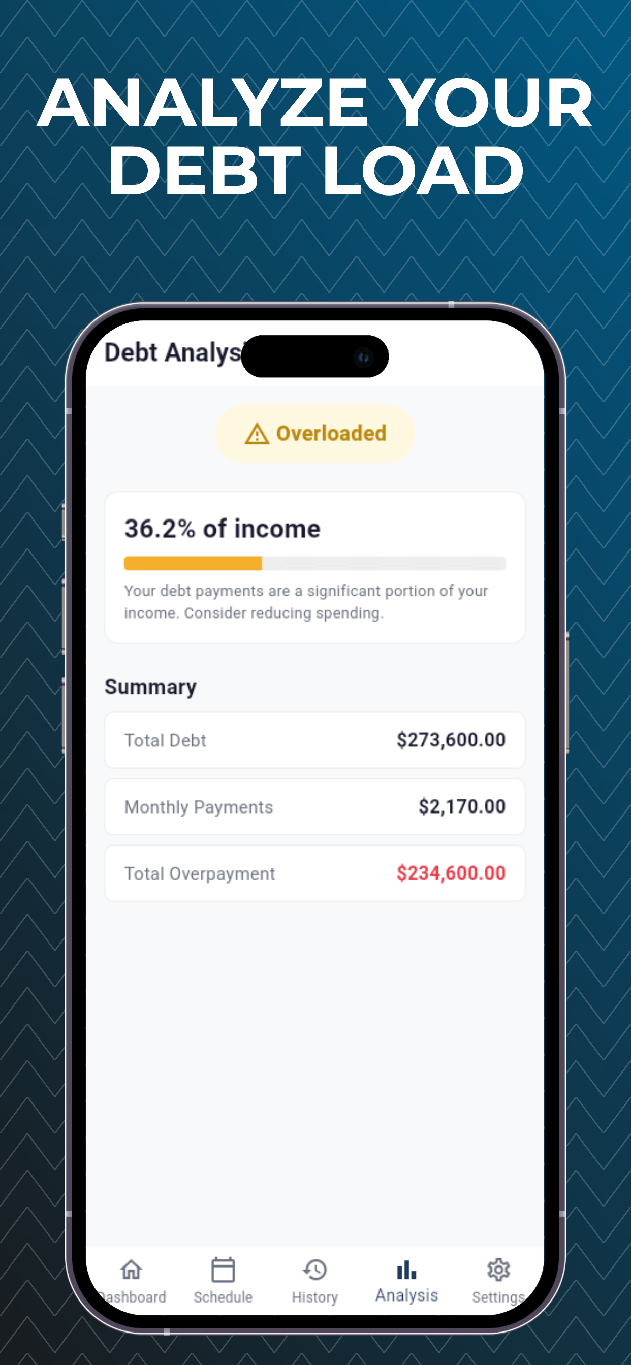 Debt Overview Tracker screenshot 4