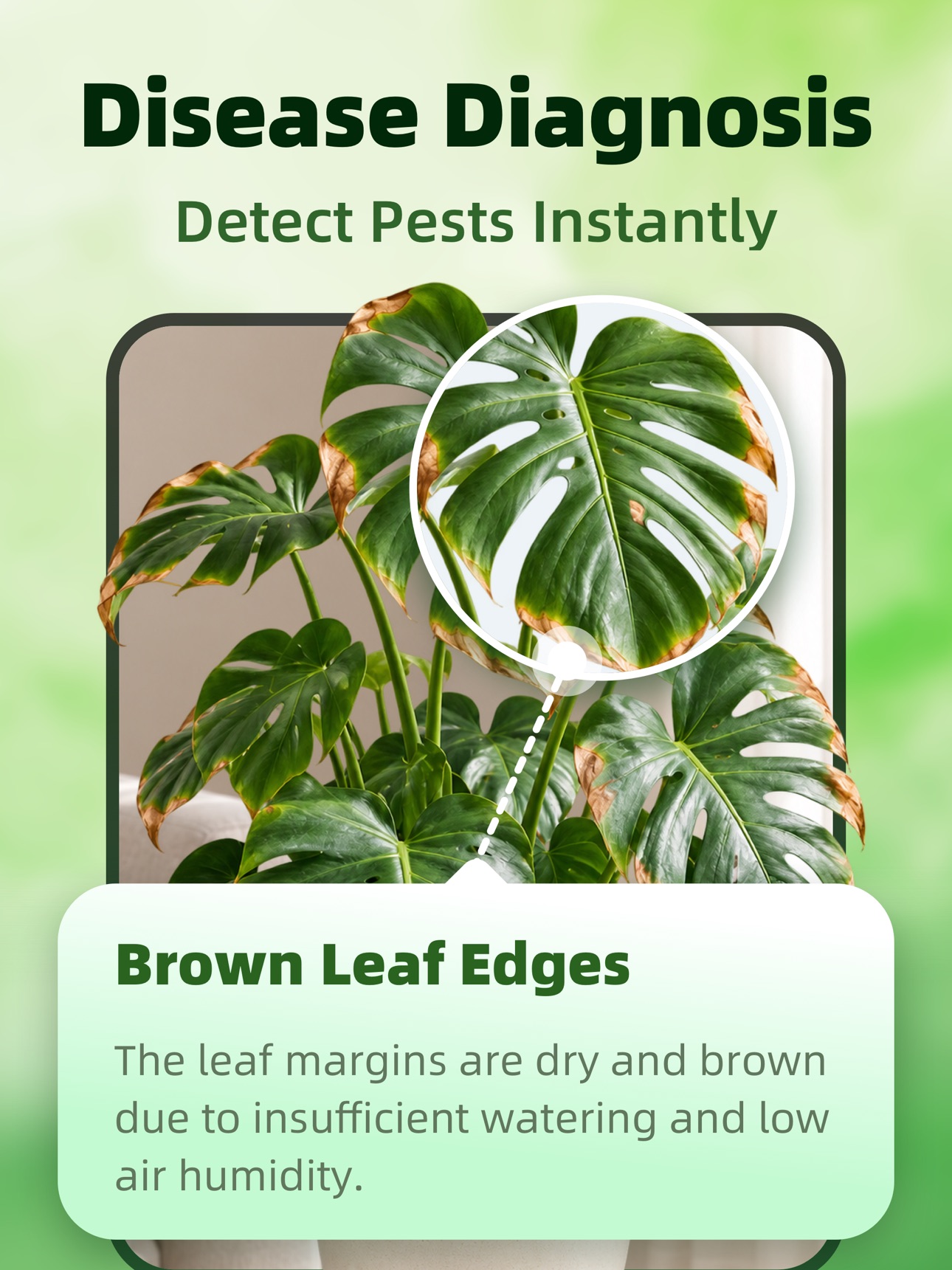 Screenshot 12 of Care Guide & Plant Identifier