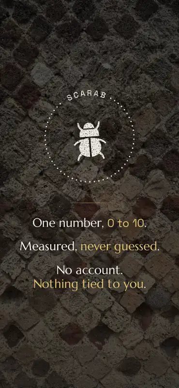 Scarab Travel screenshot 7 of 7
