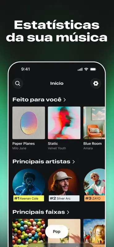 Spotify Stats: Artistas & Hits screenshot 1 of 5
