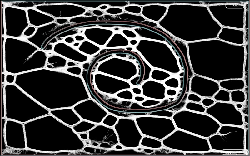Slime Mold Sandbox screenshot