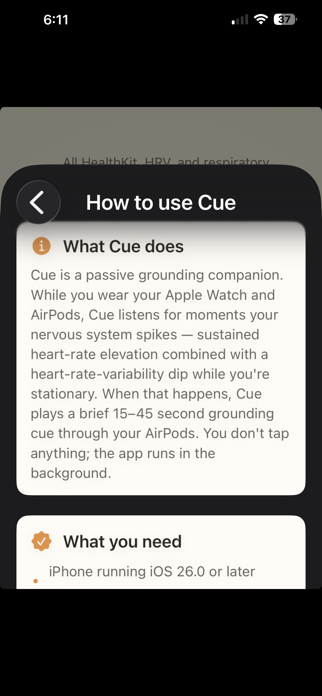 Cue: Anxiety Grounding Screenshot 3 of 7
