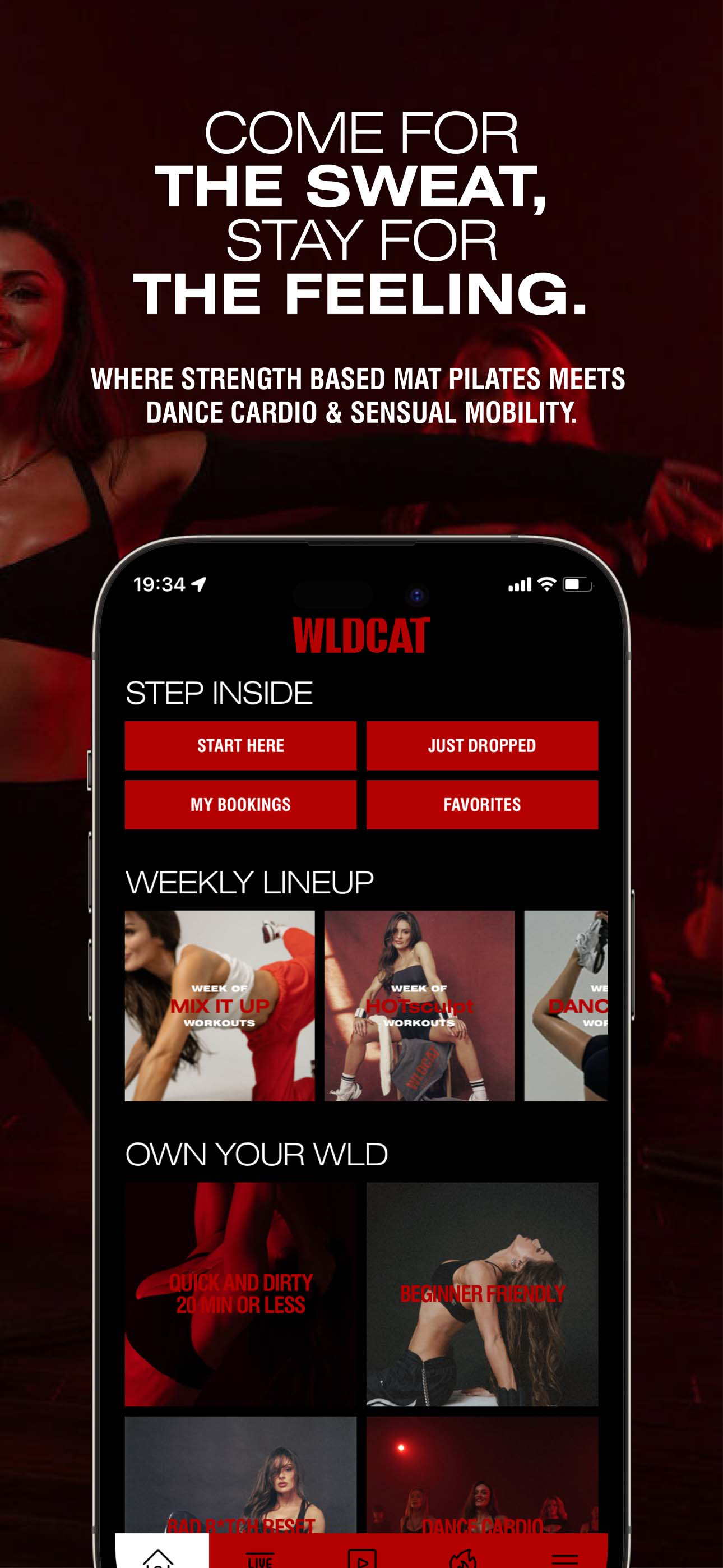 WLDCAT screenshot 3