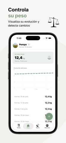 MiCompi screenshot