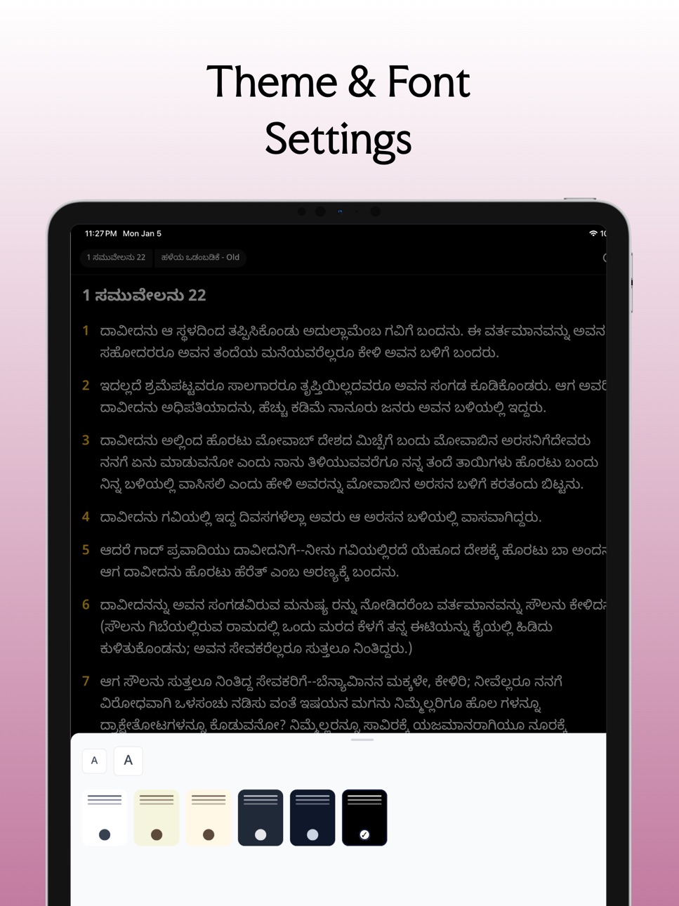 iPad screenshot