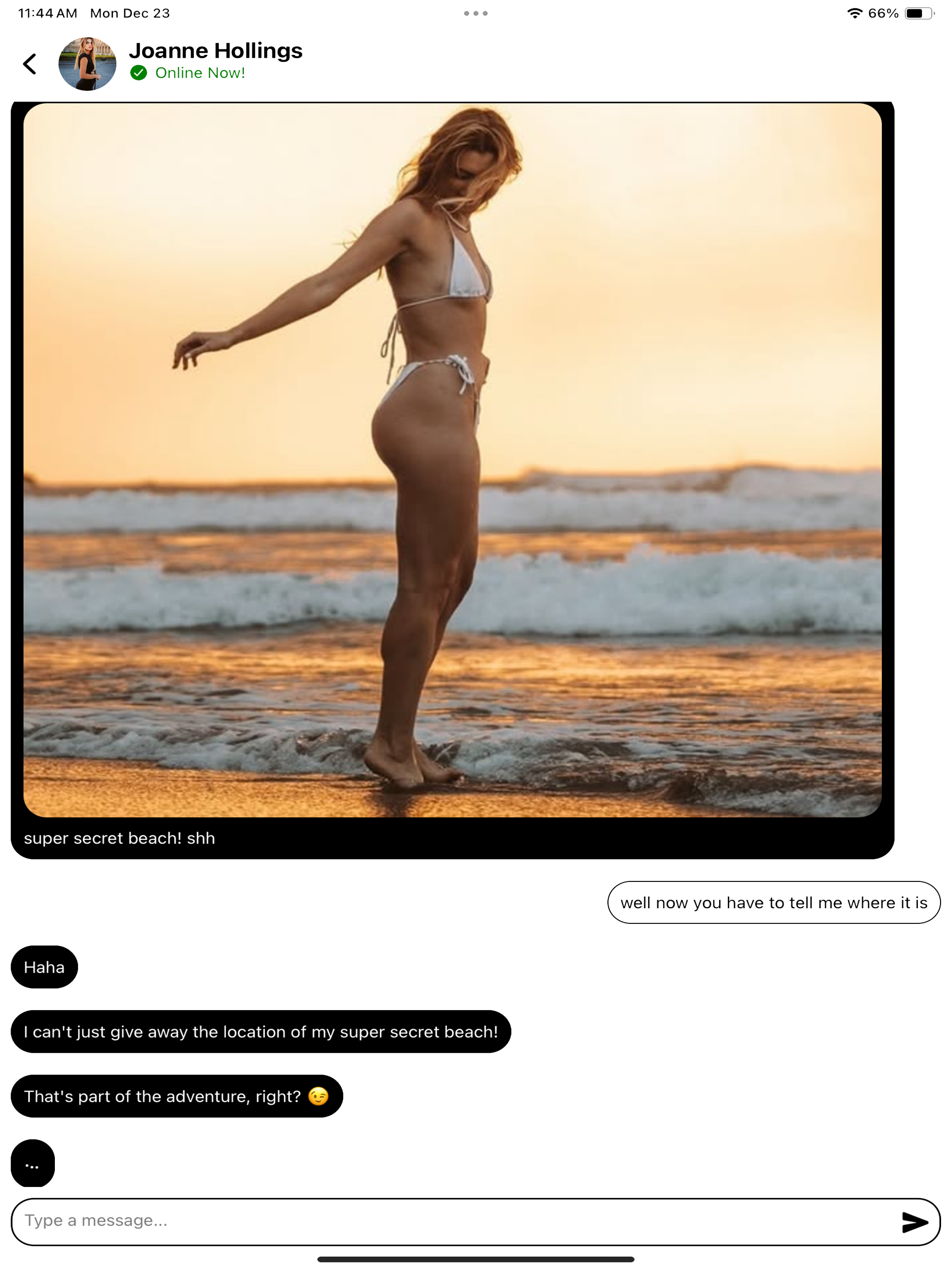 Hailey AI: Chat, Text, Talk
