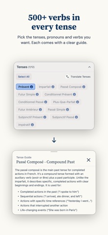 Practy - Vocab & Conjugations Screenshot 3 of 5
