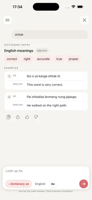 AoLingo screenshot 3