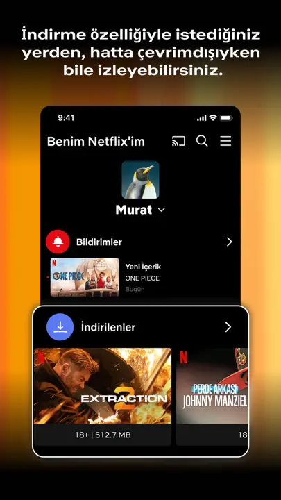 Netflix iPhone Ekran Görüntüsü 2