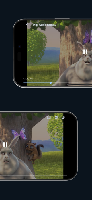Streamiq Screenshot 5 of 5