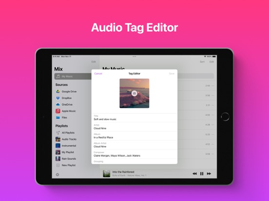 Offline Music Player - Mix iPad screenshot 4 - Music app
