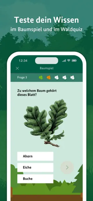 Die kleine Waldfibel screenshot 3