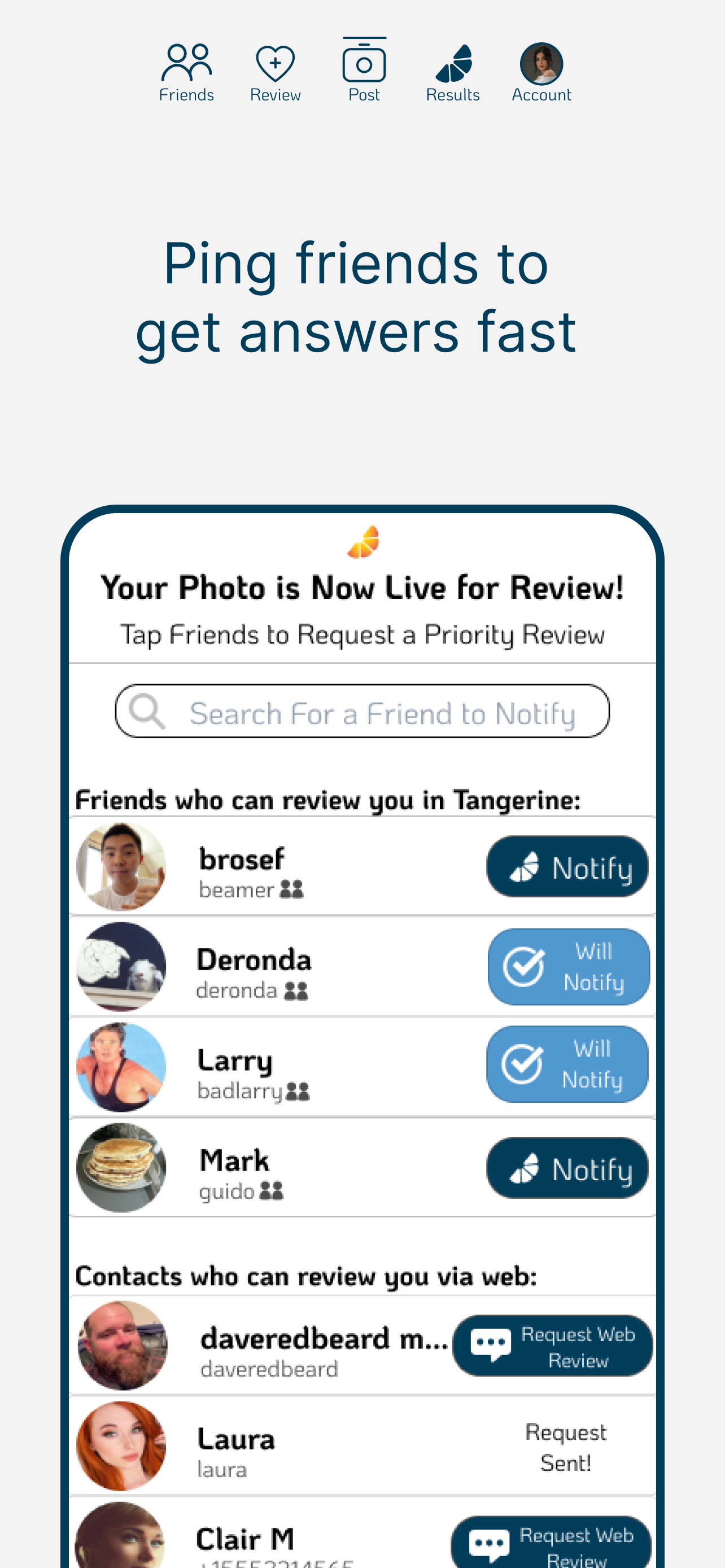 Tangerine Insight