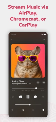 Evermusic Pro: music player iPhone screenshot