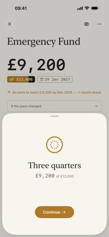 Wrenn: Financial Goal Tracking screenshot