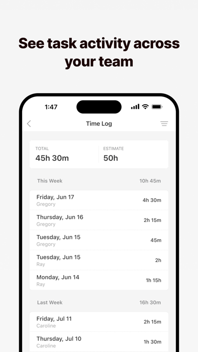 Everhour screenshot 4