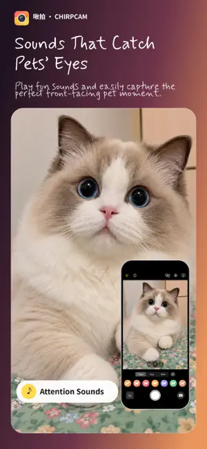 ChirpCam - Pet & Baby Camera screenshot 1