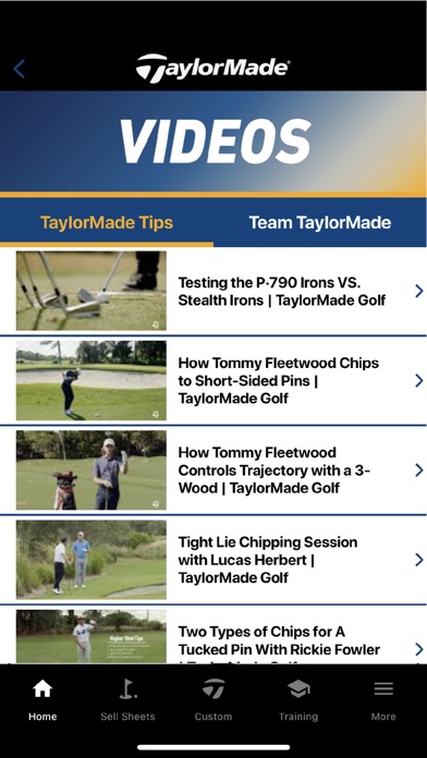 TaylorMade Golf Industry Pro Screenshot