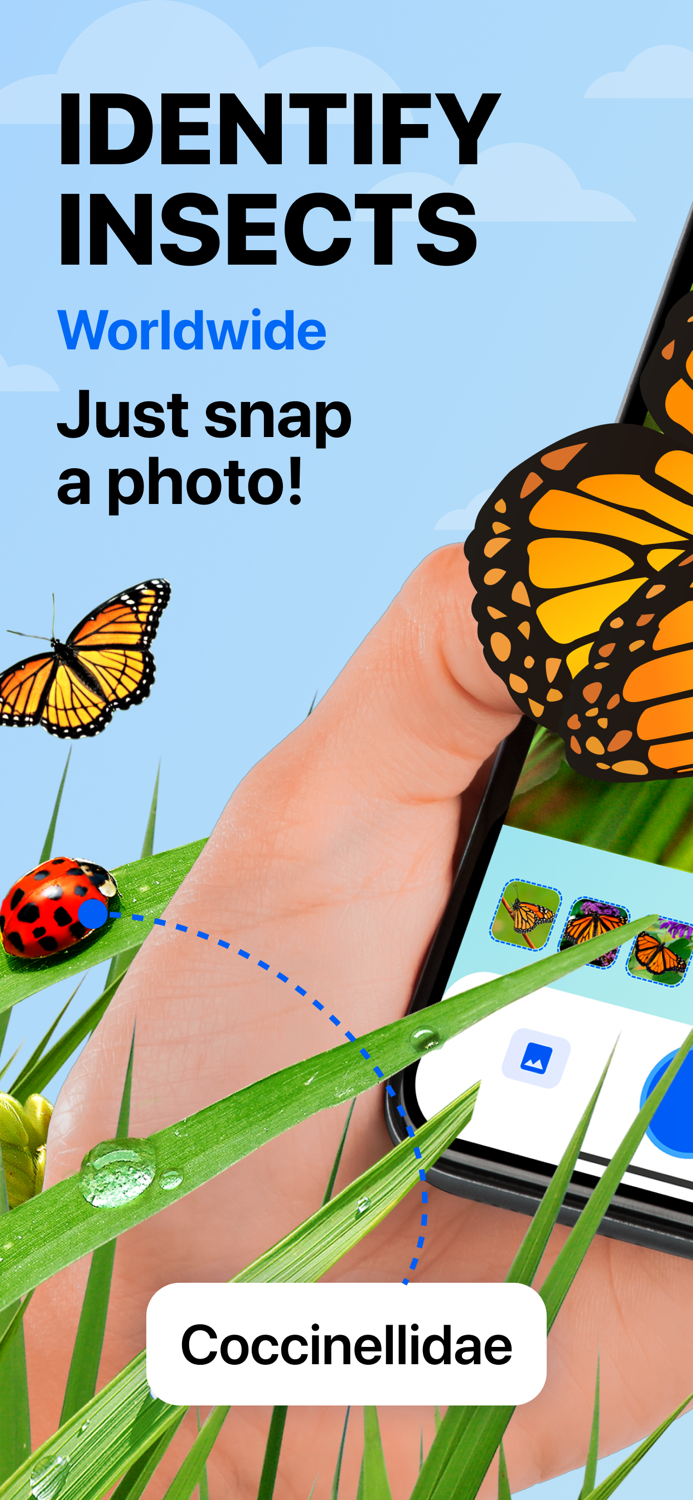 Butterfly Identifier Bug ID