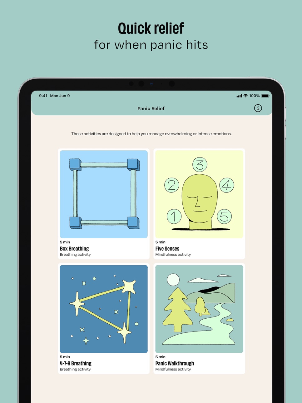 iPad screenshot