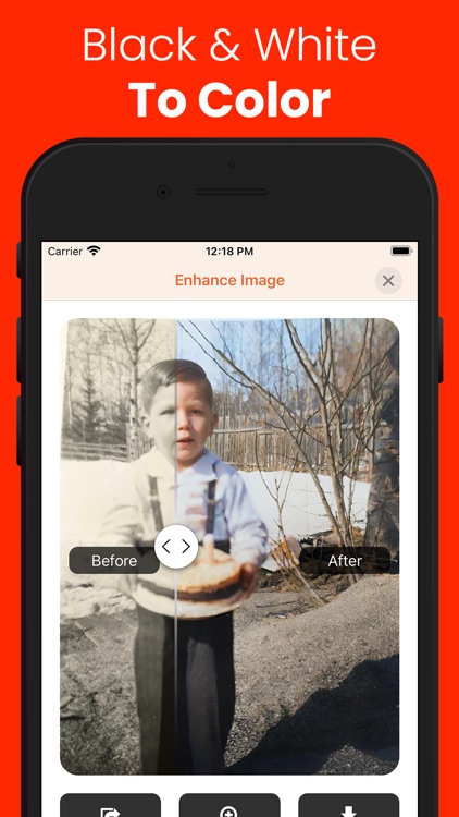 Black and White to Color·