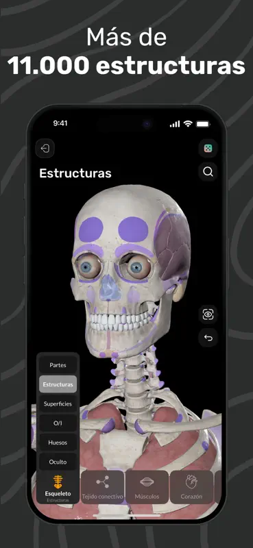 Easy Anatomy 3D con Voice AI screenshot 3 of 9