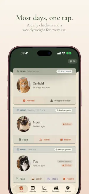 Cat Food & Vomit Tracker screenshot 1