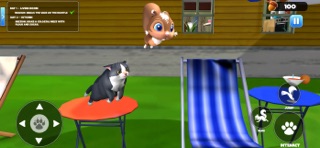 I Am Squirrel - Cat Games screenshot